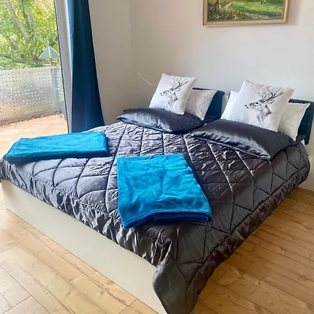 Naegler Apartment Erbach (Rheingau)